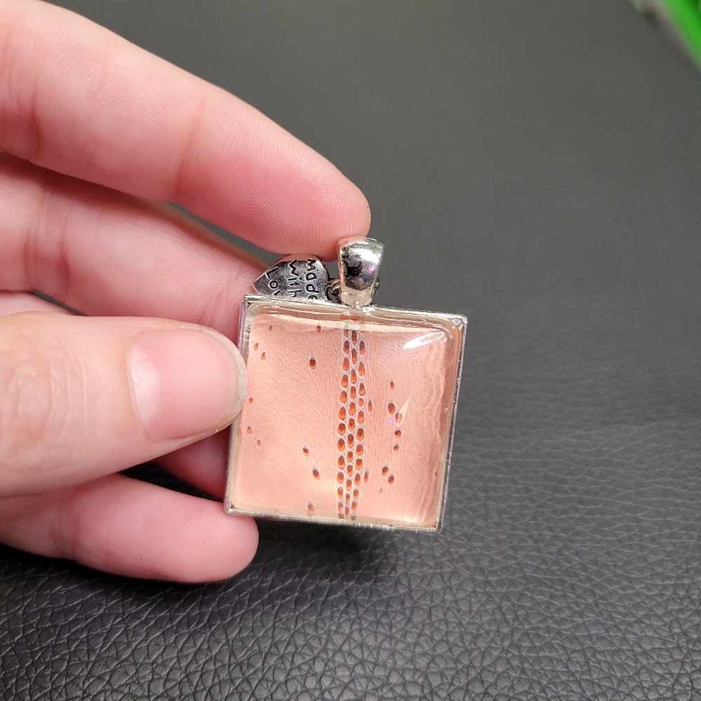 Snake shed necklace - Picture 2 of 4